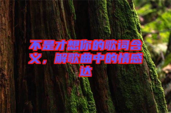 不是才想你的歌詞含義，解歌曲中的情感達