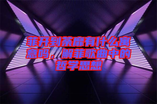 菲開到荼靡有什么寓意嗎，解菲歌曲中的哲學思想