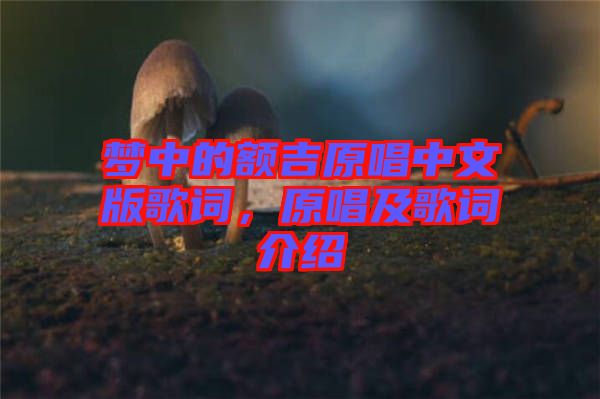 夢中的額吉原唱中文版歌詞，原唱及歌詞介紹