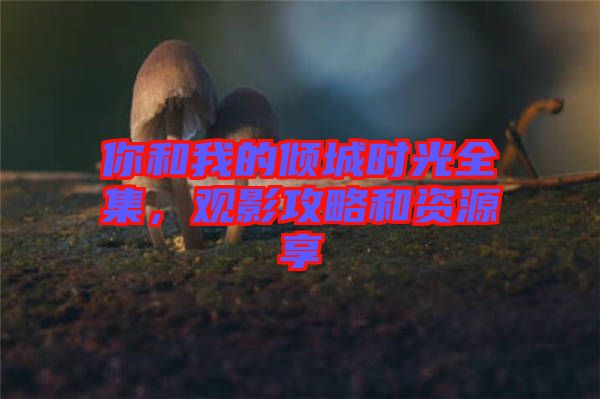 你和我的傾城時光全集，觀影攻略和資源享