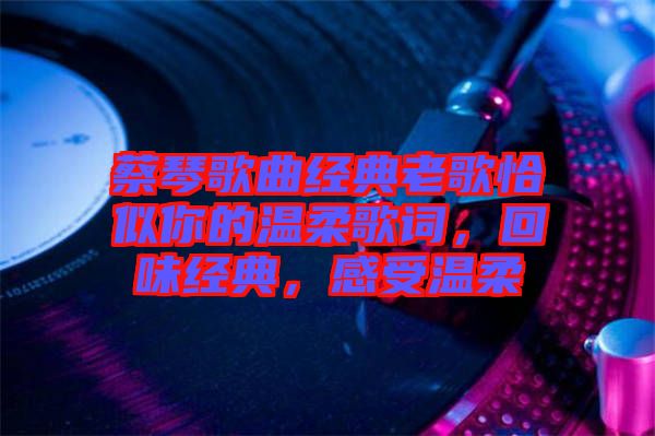 蔡琴歌曲經(jīng)典老歌恰似你的溫柔歌詞，回味經(jīng)典，感受溫柔