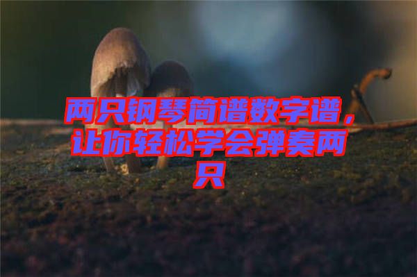 兩只鋼琴簡譜數字譜，讓你輕松學會彈奏兩只