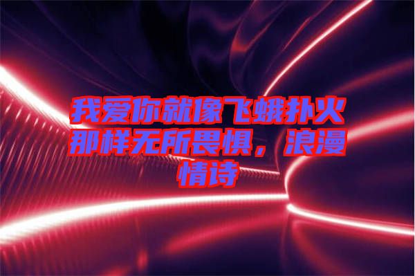 我愛你就像飛蛾撲火那樣無所畏懼，浪漫情詩