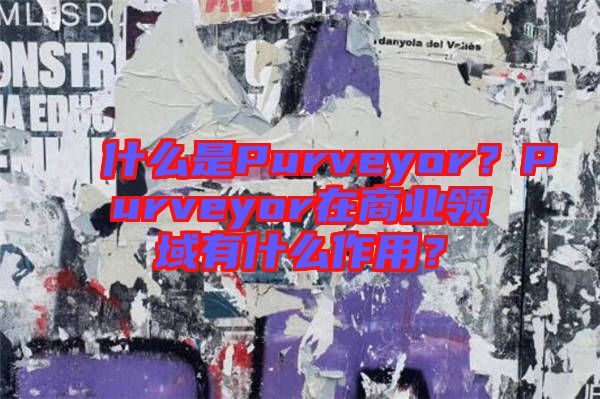 什么是Purveyor？Purveyor在商業領域有什么作用？