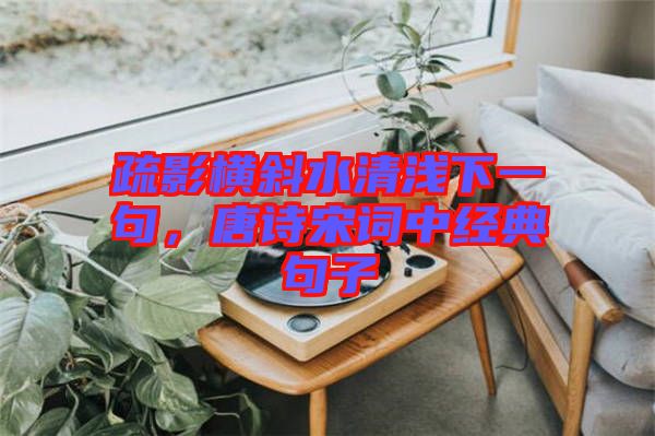 疏影橫斜水清淺下一句，唐詩宋詞中經(jīng)典句子