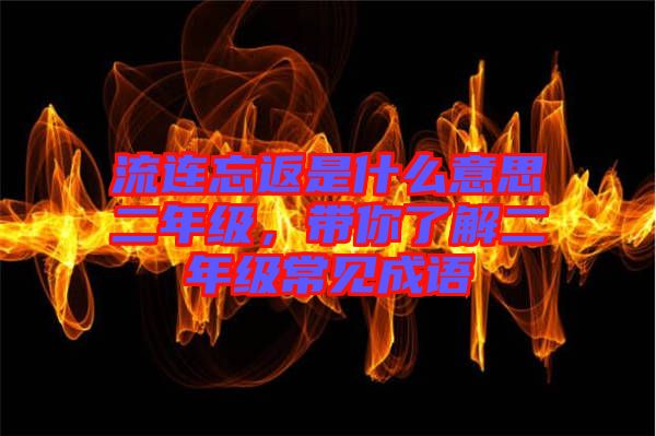 流連忘返是什么意思二年級(jí)，帶你了解二年級(jí)常見成語(yǔ)