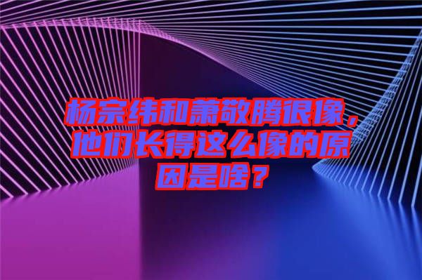 楊宗緯和蕭敬騰很像，他們長得這么像的原因是啥？