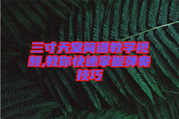 三寸天堂簡(jiǎn)譜教學(xué)視頻,教你快速掌握彈奏技巧