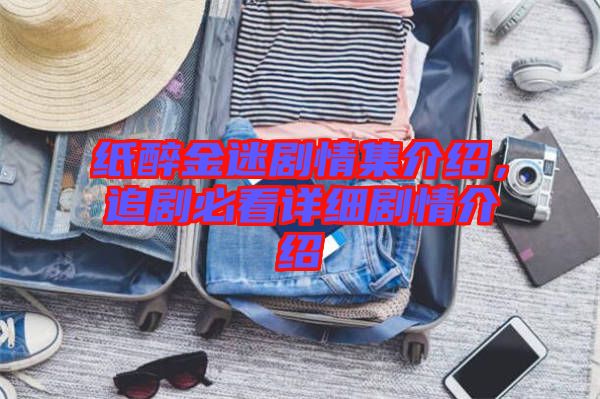 紙醉金迷劇情集介紹，追劇必看詳細劇情介紹