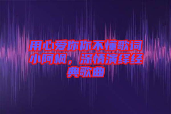 用心愛你你不懂歌詞小阿楓，深情演繹經典歌曲