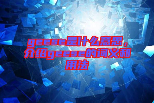 geese是什么意思，介紹geese的詞義和用法