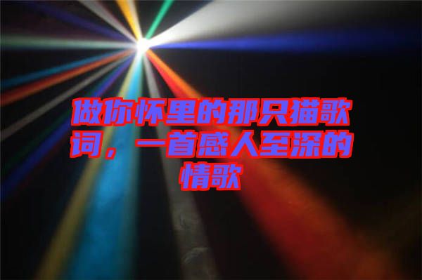 做你懷里的那只貓歌詞，一首感人至深的情歌