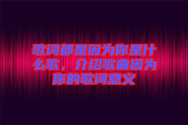 歌詞都是因為你是什么歌，介紹歌曲因為你的歌詞意義