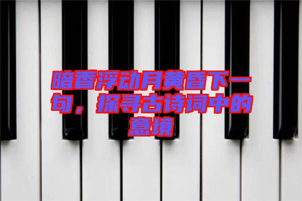 暗香浮動月黃昏下一句，探尋古詩詞中的意境