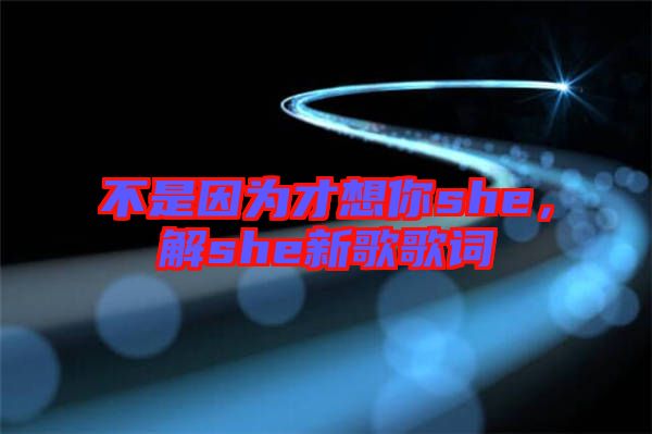 不是因為才想你she，解she新歌歌詞