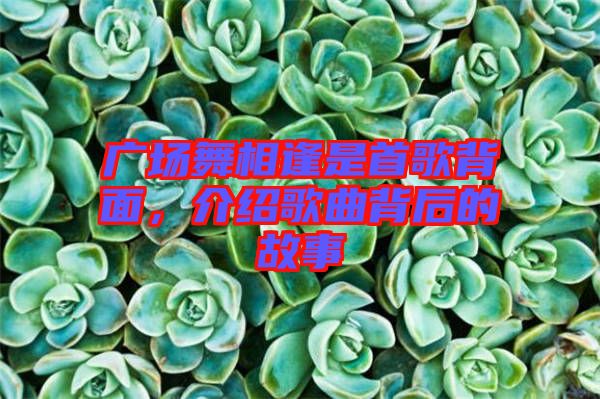 廣場舞相逢是首歌背面，介紹歌曲背后的故事