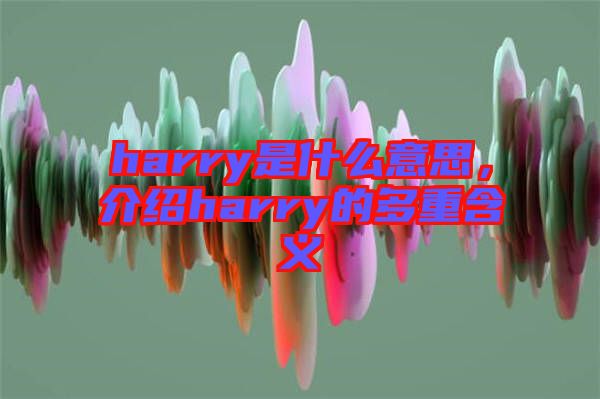 harry是什么意思，介紹harry的多重含義