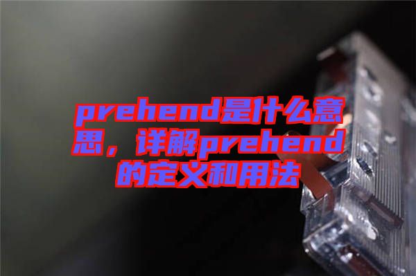 prehend是什么意思，詳解prehend的定義和用法