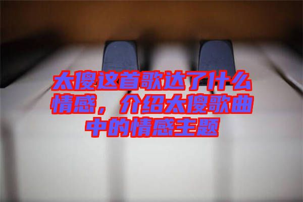 太傻這首歌達了什么情感，介紹太傻歌曲中的情感主題