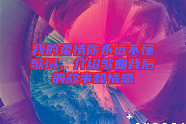 我的柔情你永遠不懂歌詞，介紹歌曲背后的故事和情感