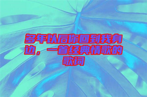 多年以后你回到我身邊，一首經典情歌的歌詞