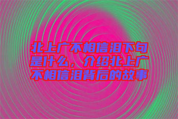 北上廣不相信淚下句是什么，介紹北上廣不相信淚背后的故事