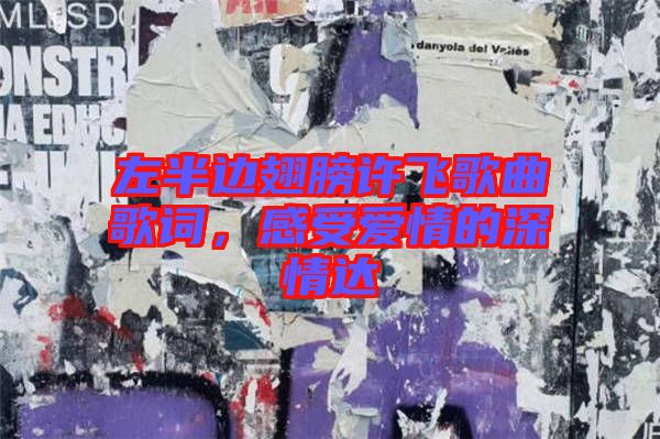 左半邊翅膀許飛歌曲歌詞，感受愛情的深情達(dá)