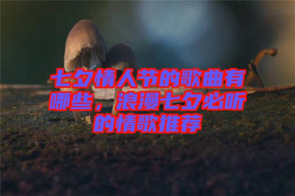 七夕情人節(jié)的歌曲有哪些，浪漫七夕必聽的情歌推薦