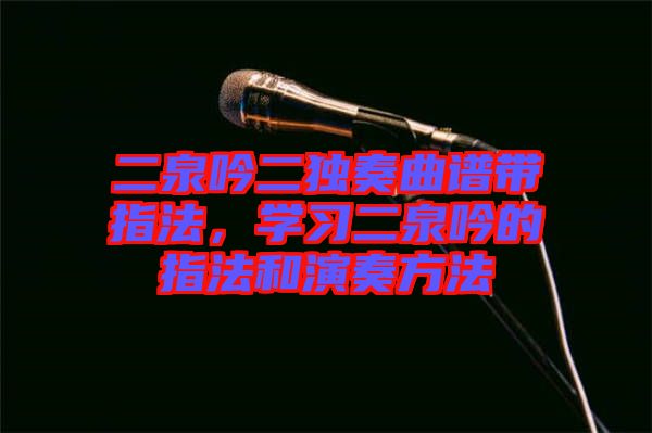 二泉吟二獨奏曲譜帶指法，學習二泉吟的指法和演奏方法