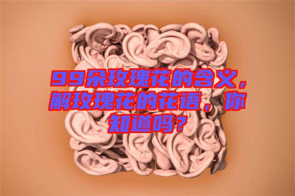 99朵玫瑰花的含義，解玫瑰花的花語，你知道嗎？