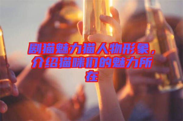 劇貓魅力貓人物形象，介紹貓咪們的魅力所在