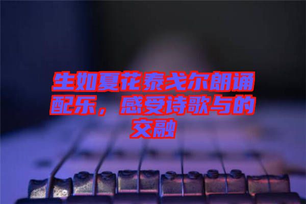 生如夏花泰戈爾朗誦配樂，感受詩歌與的交融