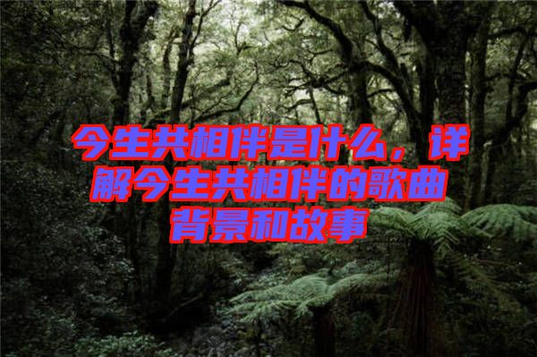 今生共相伴是什么，詳解今生共相伴的歌曲背景和故事