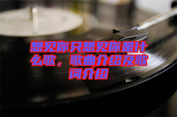 想見你只想見你是什么歌，歌曲介紹及歌詞介紹