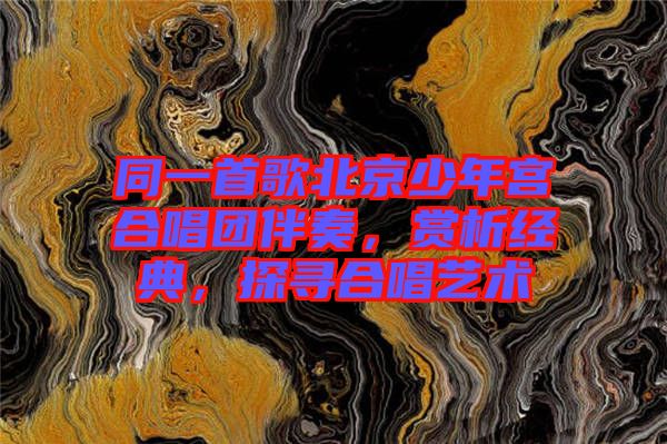 同一首歌北京少年宮合唱團伴奏，賞析經典，探尋合唱藝術