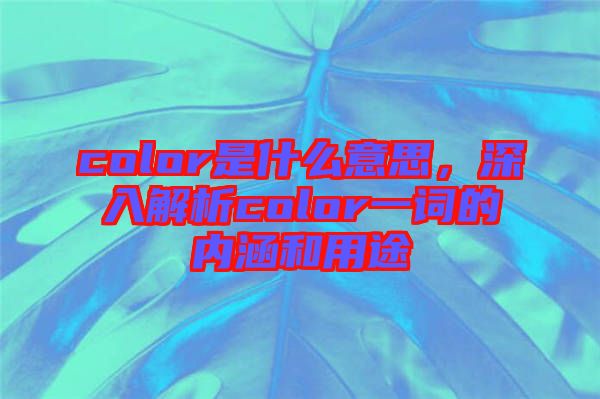 color是什么意思，深入解析color一詞的內涵和用途