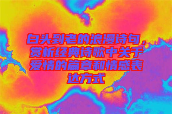 白頭到老的浪漫詩句，賞析經典詩歌中關于愛情的篇章和情感表達方式