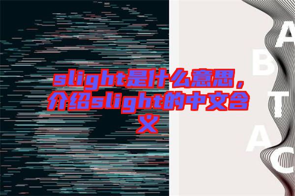 slight是什么意思，介紹slight的中文含義