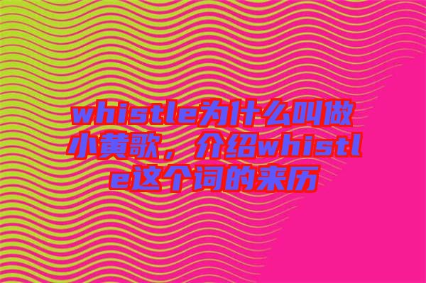 whistle為什么叫做小黃歌，介紹whistle這個詞的來歷