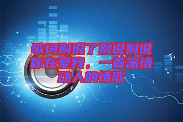 歌詞別說了別說別說你在愛我，一首深情動人的情歌