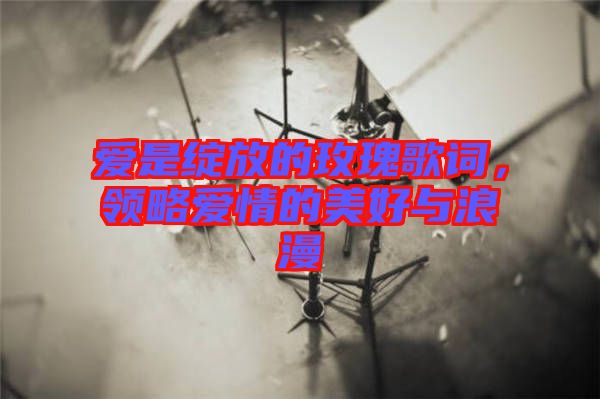 愛是綻放的玫瑰歌詞，領略愛情的美好與浪漫