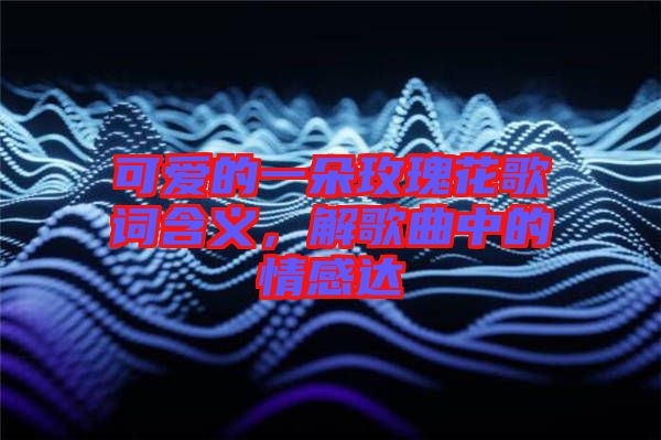 可愛的一朵玫瑰花歌詞含義，解歌曲中的情感達