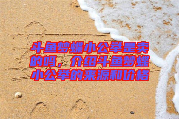 斗魚夢蝶小公舉是賣的嗎，介紹斗魚夢蝶小公舉的來源和價格