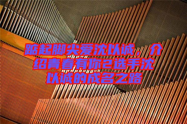 踮起腳尖愛沈以誠，介紹青春有你2選手沈以誠的成名之路