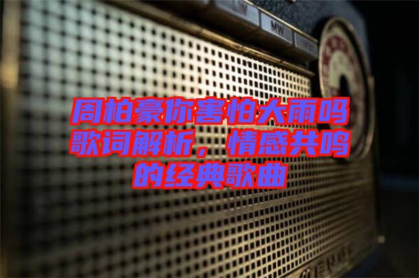 周柏豪你害怕大雨嗎歌詞解析，情感共鳴的經典歌曲