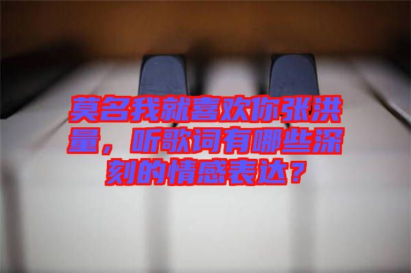 莫名我就喜歡你張洪量，聽歌詞有哪些深刻的情感表達？