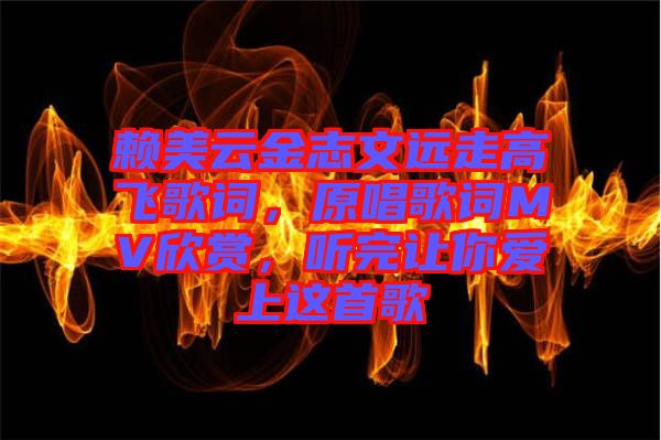 賴美云金志文遠(yuǎn)走高飛歌詞，原唱歌詞MV欣賞，聽完讓你愛上這首歌