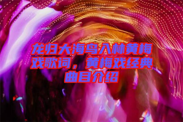 龍歸大海鳥入林黃梅戲歌詞，黃梅戲經(jīng)典曲目介紹