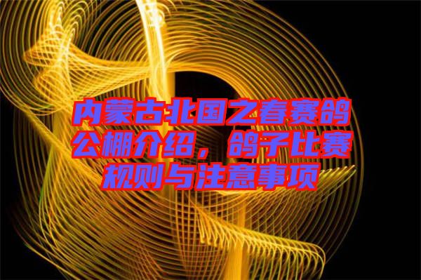 內蒙古北國之春賽鴿公棚介紹，鴿子比賽規則與注意事項