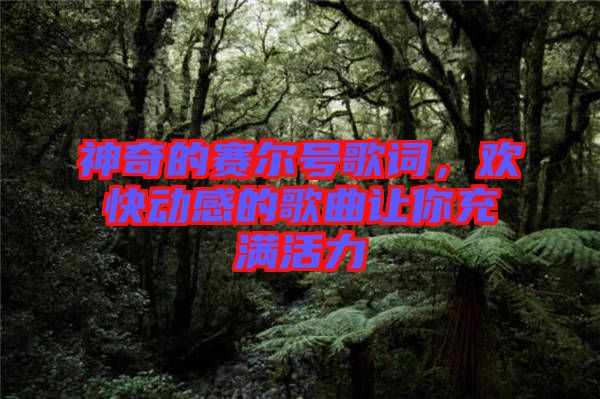 神奇的賽爾號歌詞，歡快動感的歌曲讓你充滿活力